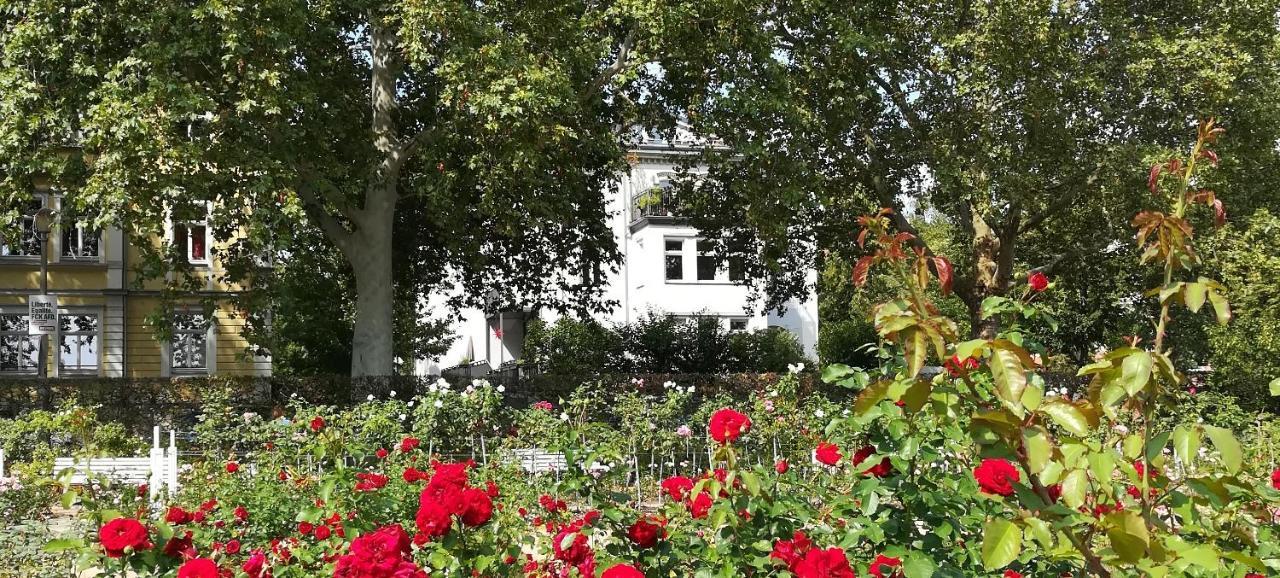 Faehrhaus Meissen B&B Exterior foto